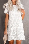 White Nova lace sheath mini dress by Lumina Wear, knee-length with intricate lace details, perfect for elegant occasions.