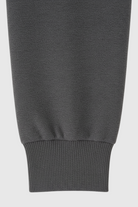Lumina Wear Serena casual gray hoodie and sweatpants set, modern activewear set for comfortable everyday wear.